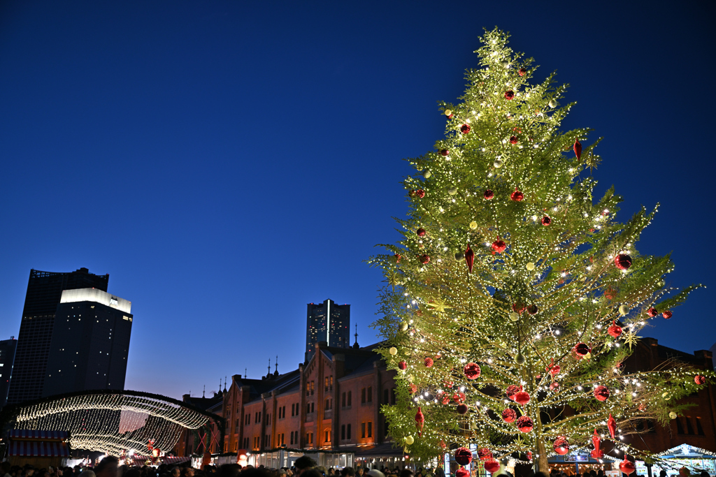 はまこれな風景　クリスマスマーケット