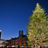 はまこれな風景　クリスマスマーケット