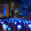 はまこれな風景　Night Sync YOKOHAMA