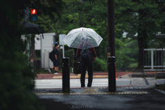 雨・信号待ち