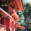 はいっ！鶴岡八幡宮をどうぞ！