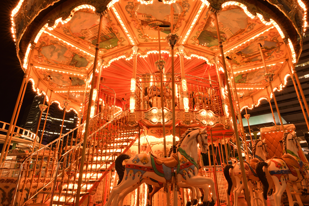 Merry-Go-Round MM21