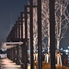 はまこれな風景　Hammer Head Park