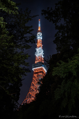 東京タワー