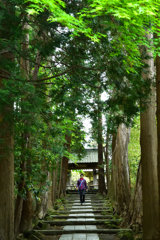 鎌倉散歩 was