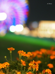 はまこれな風景　なんか幸せ