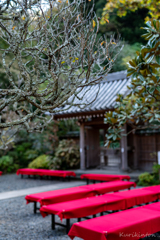 日本の秋・円覚寺