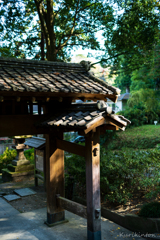 日本の秋・浄智寺