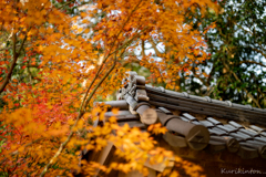 日本の秋・円覚寺
