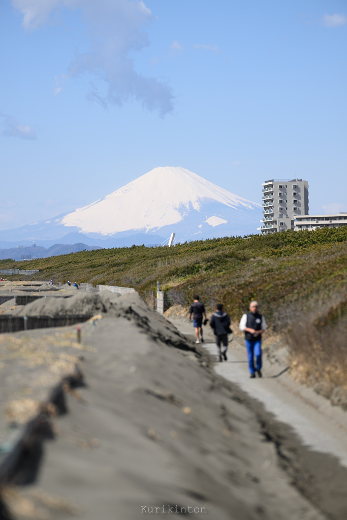 サイクリングロード