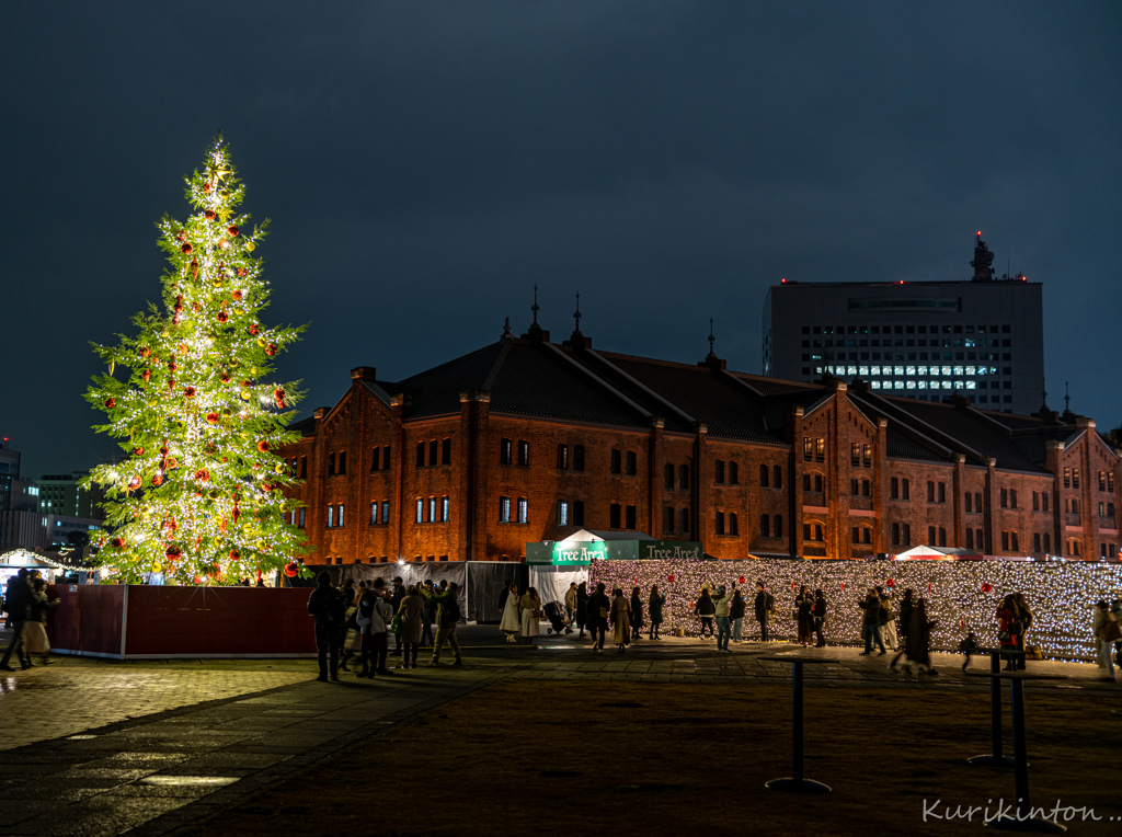 Christmas Market in 赤レンガ倉庫