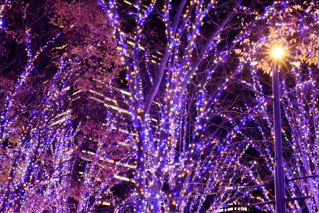 青の時間　グランモール公園MM21