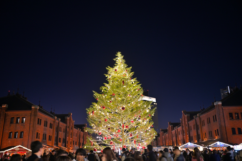 はまこれな風景　赤レンガ倉庫クリスマスツリー