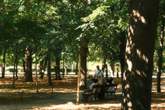 DSCF4384