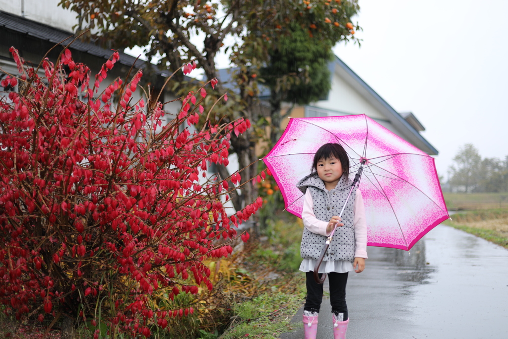 今日も雨