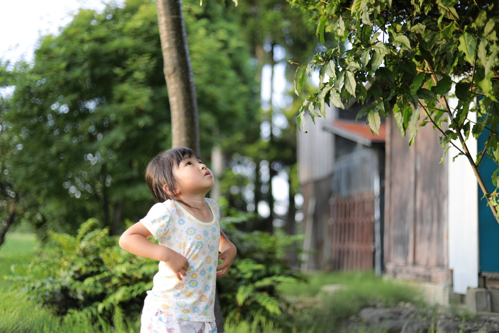 グミの実あるかな？