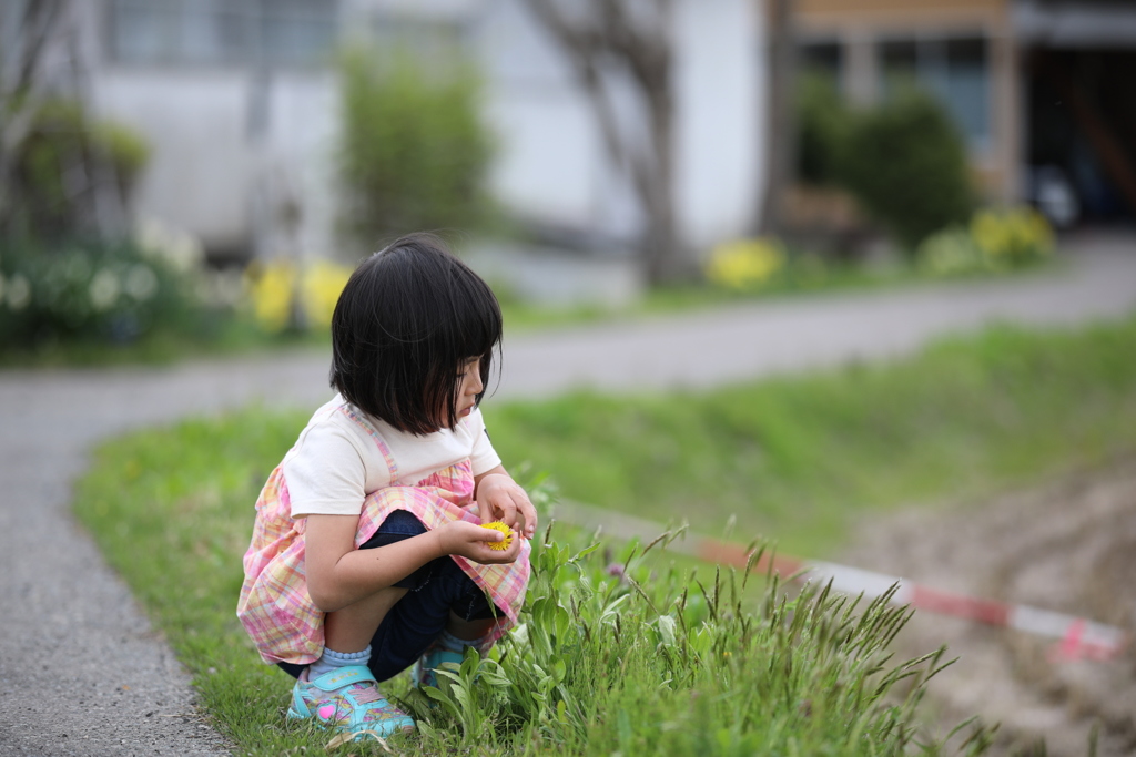 近所を散歩