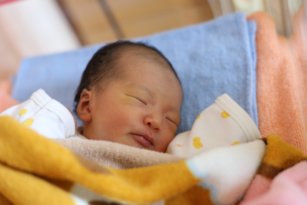 妹が産まれました