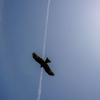 飛行機雲