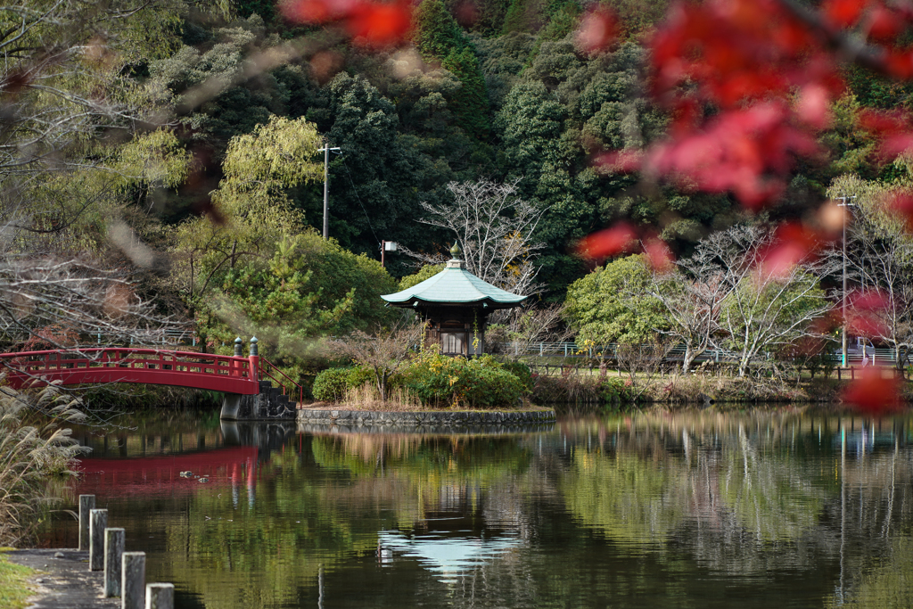 紅もみじ　定光寺公園