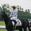 マイラプソディ