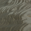 鳥取砂丘　風紋