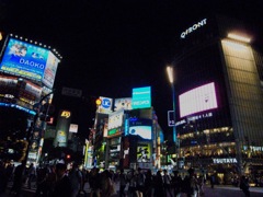 the shibuya