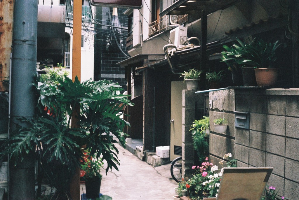 新宿の中心で