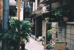 新宿の中心で
