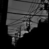 電線