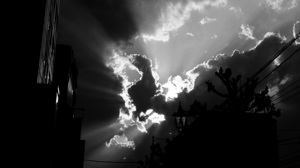 強き光