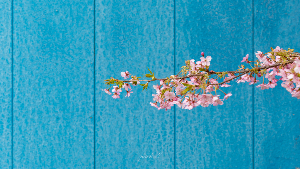 春の始まり