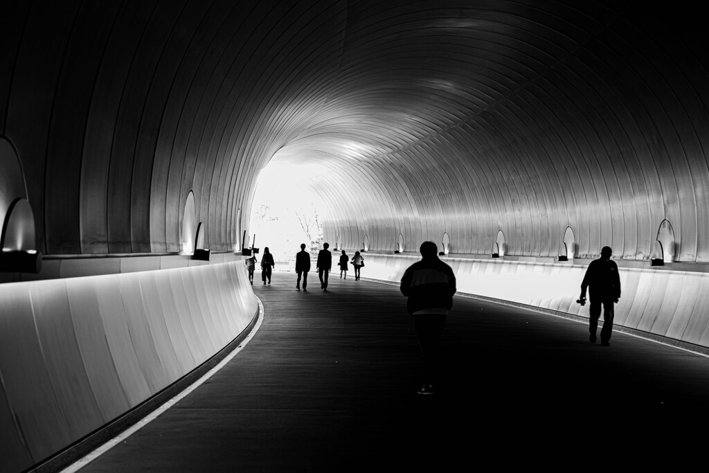 tunnel