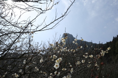 早春の三船山麓