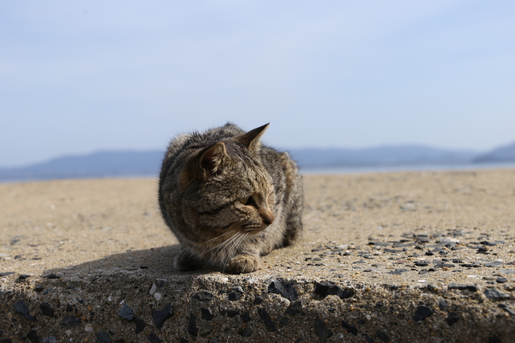 春の午後
