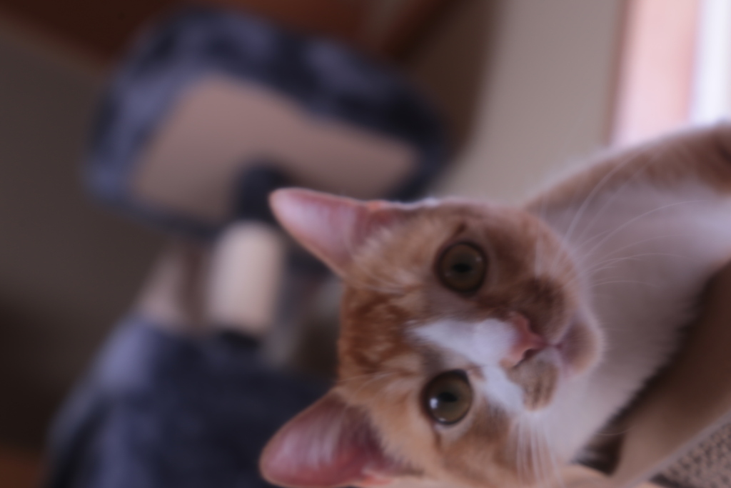だ〜れだ？