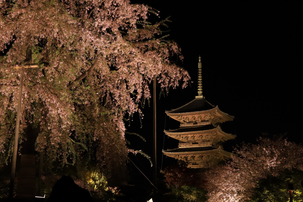 東寺ライトアップ