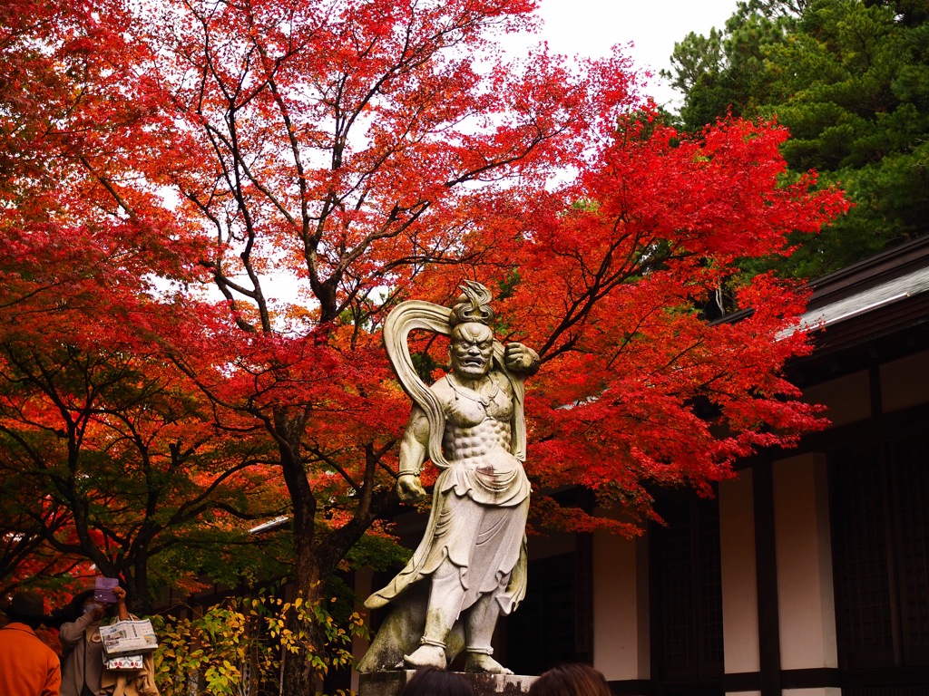 紅葉の衝立