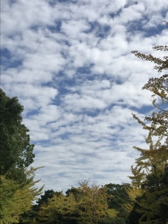 のびやかな空