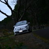 冬の散歩道
