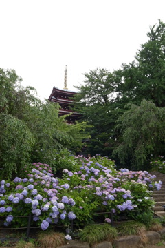 本土寺００８