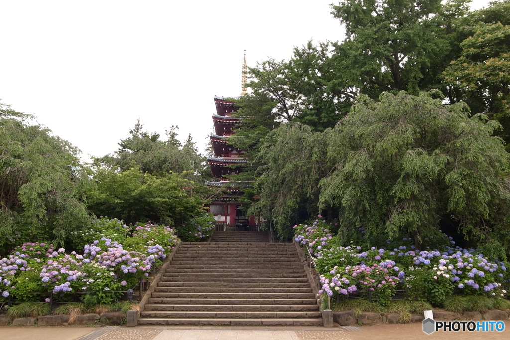 本土寺０１