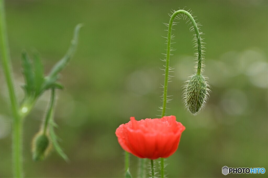ねぇ、遊ぼう～