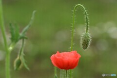 ねぇ、遊ぼう～