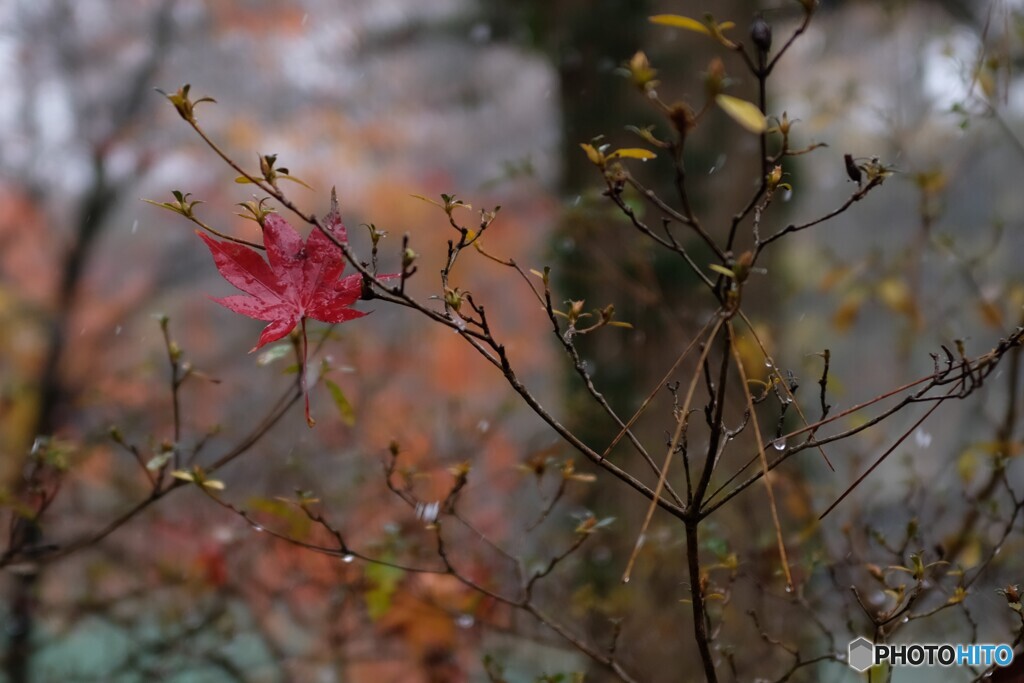 ひとりぼっち・・