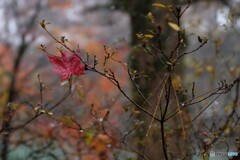 ひとりぼっち・・