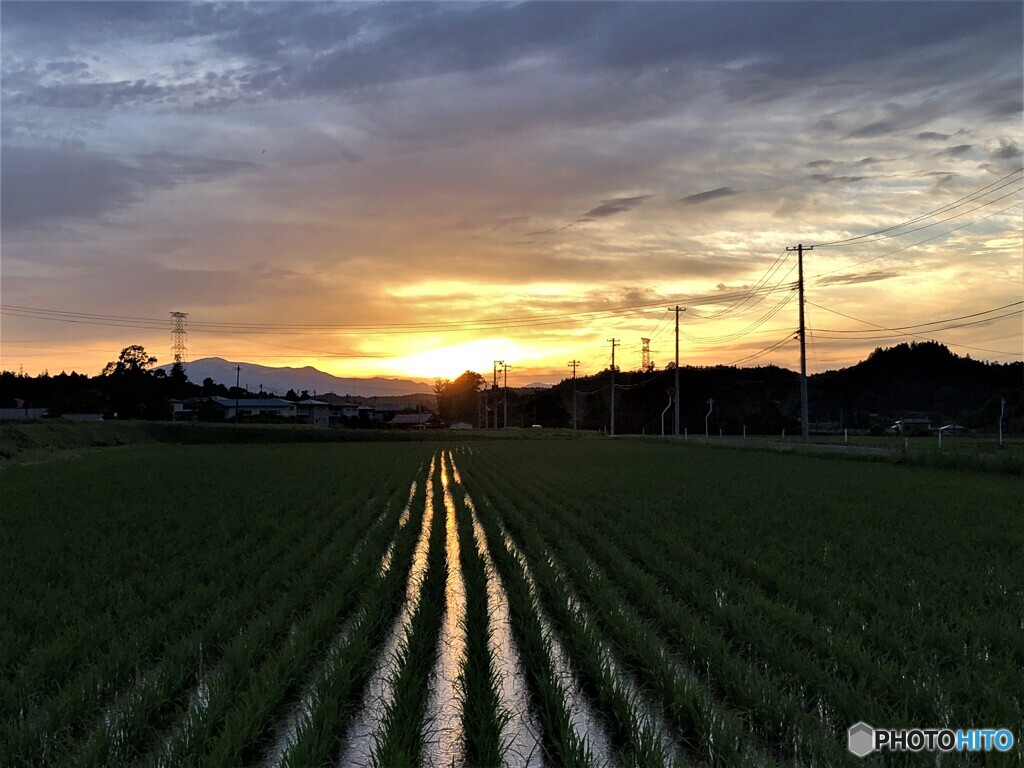 沈陽