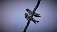 何か暑くない！