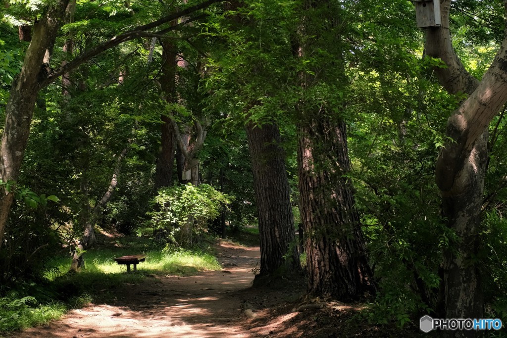 トトロに会いに・・