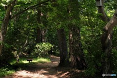 トトロに会いに・・